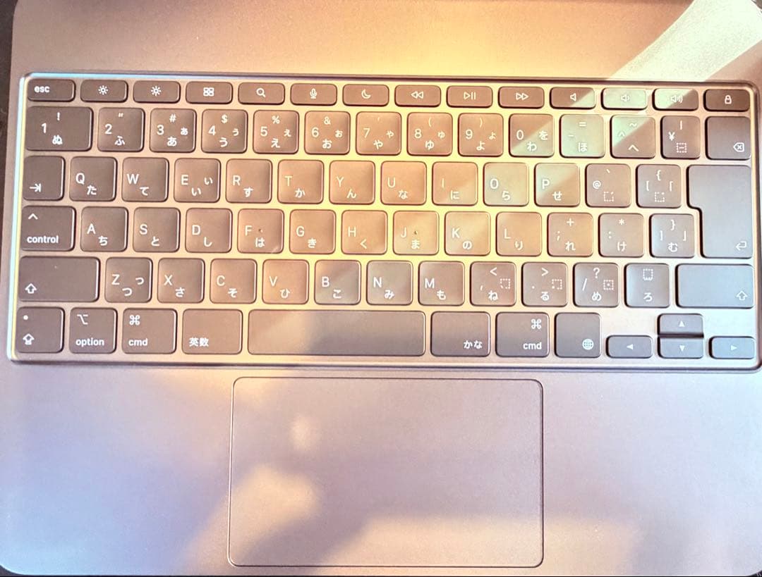 iPad Pro (M4) 13インチ Wi-Fi + Cellular