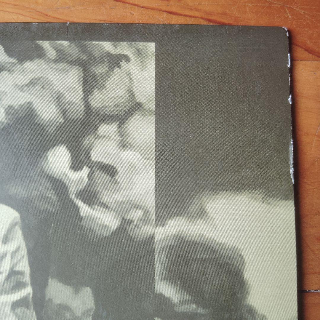 坂本慎太郎 ナマで踊ろう レコード