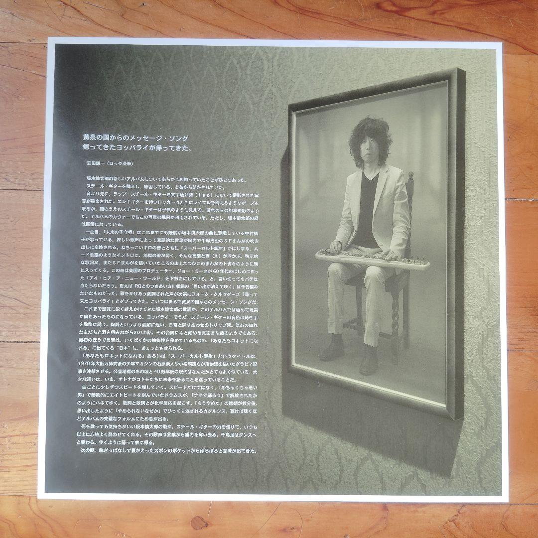 坂本慎太郎 ナマで踊ろう レコード