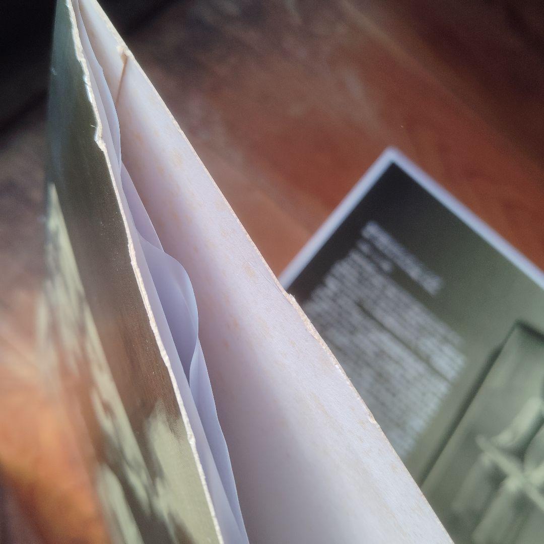 坂本慎太郎 ナマで踊ろう レコード