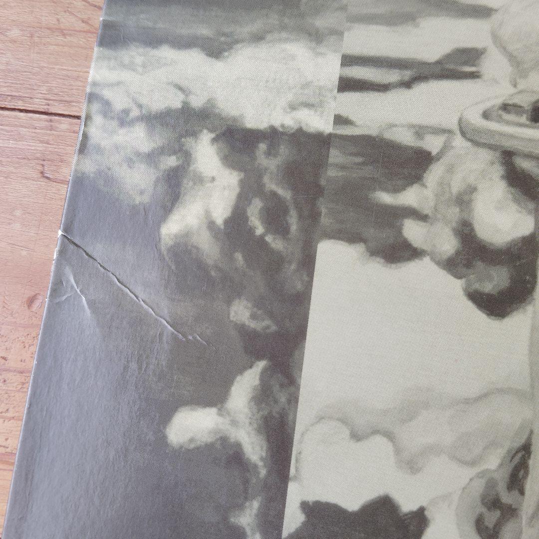 坂本慎太郎 ナマで踊ろう レコード