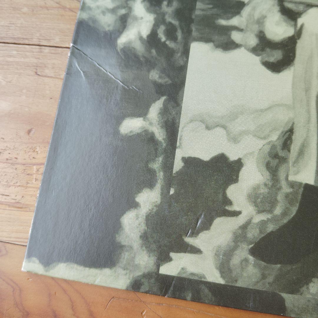 坂本慎太郎 ナマで踊ろう レコード