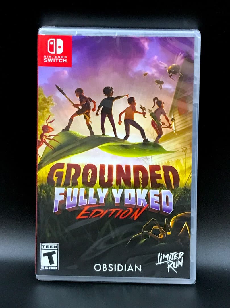 Grounded Fully Yoked Edition Switch スイッチ