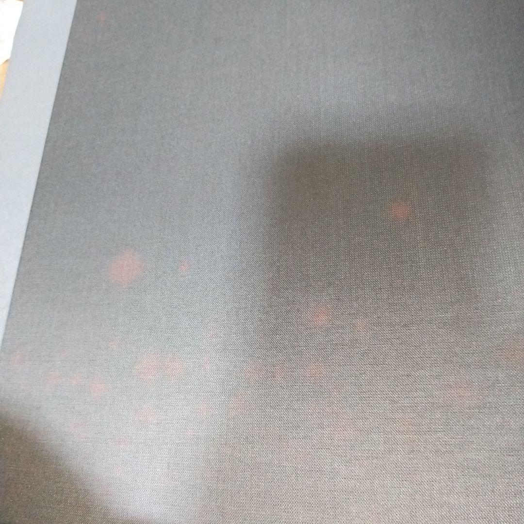 アート・デザイン・音楽 Assignment Shanghai: Photographs on the