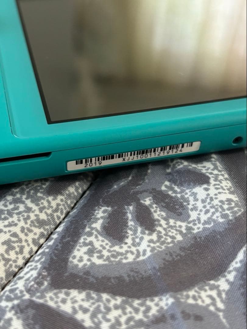 Nintendo Switch Lite ターコイズ本体 充電器付き 動作確認済