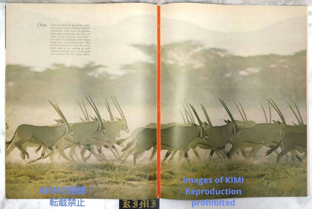 ライフ マガジン 1970 1月19 LIFE Magazine JANUARY