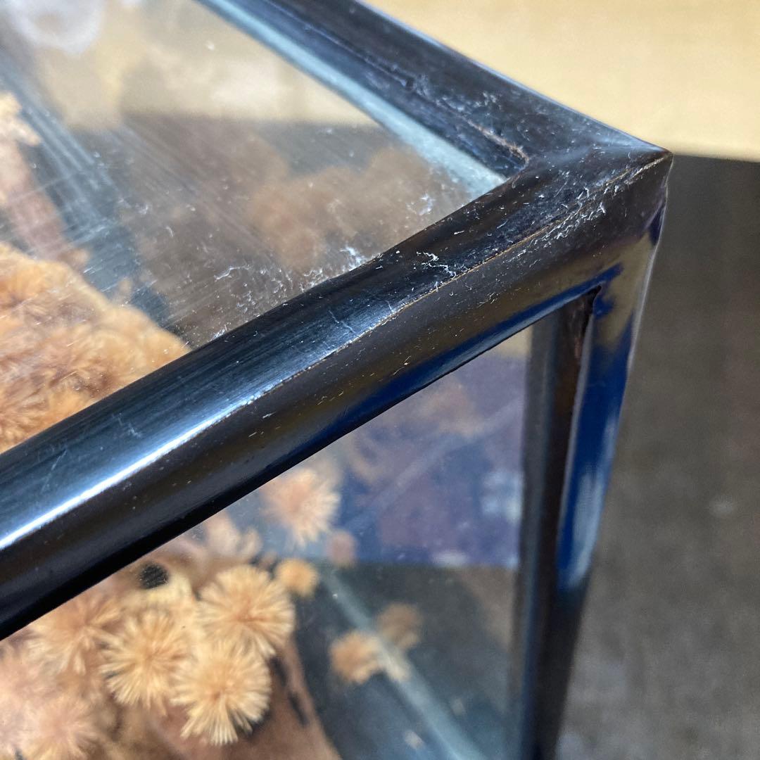 中国軟木画　コルク細工　工芸品　ガラスケース入り　置物　松　鶴　中国庭園