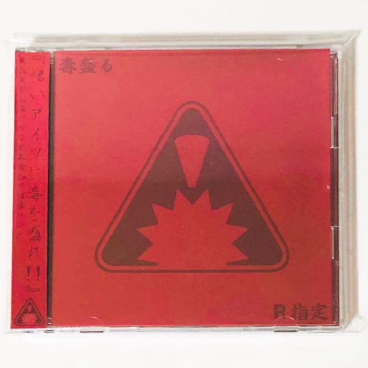 V系★R15★R指定★CD＋DVD★9点セット