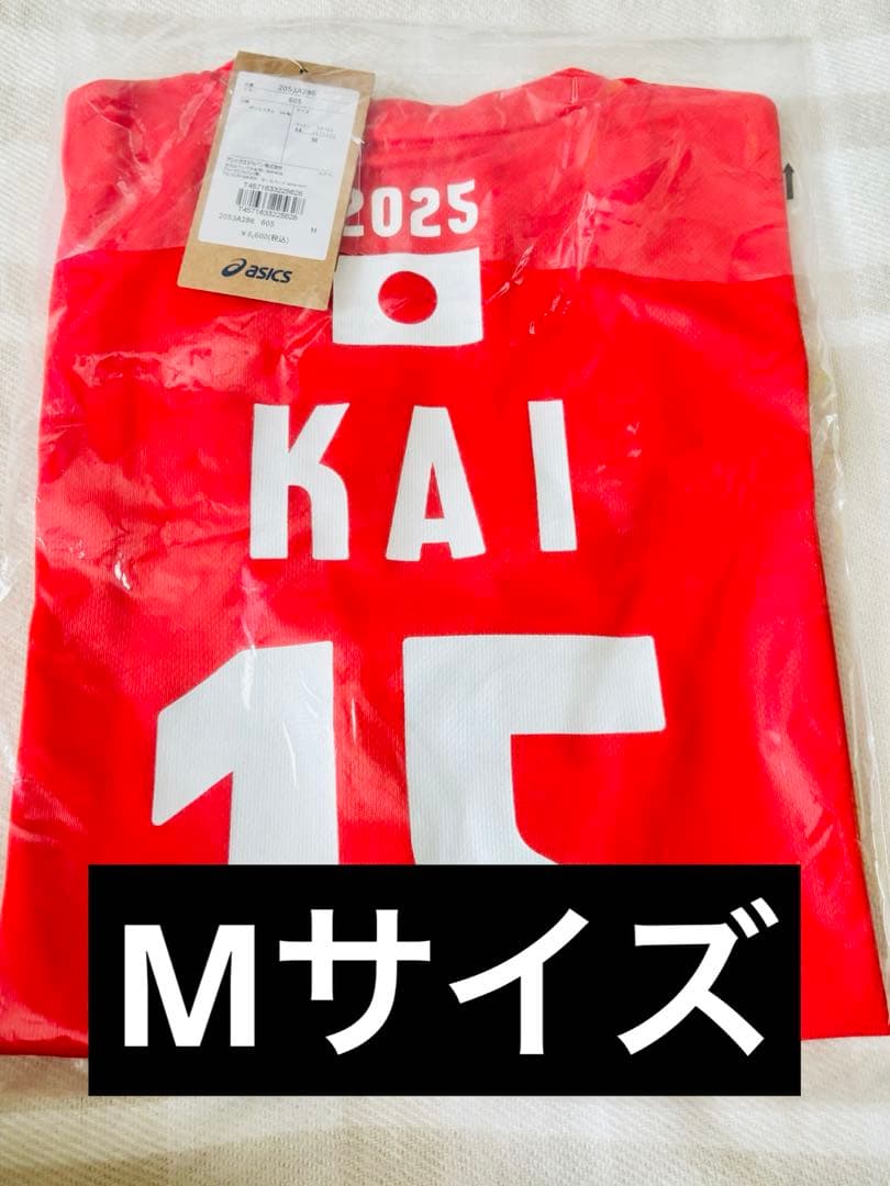 ネーションズリーグ　応援Tシャツ　2025