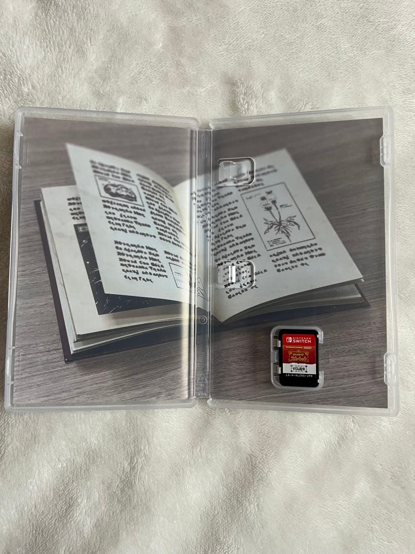 Nintendo Switch　ポケットモンスター スカーレット+ゼロの秘宝