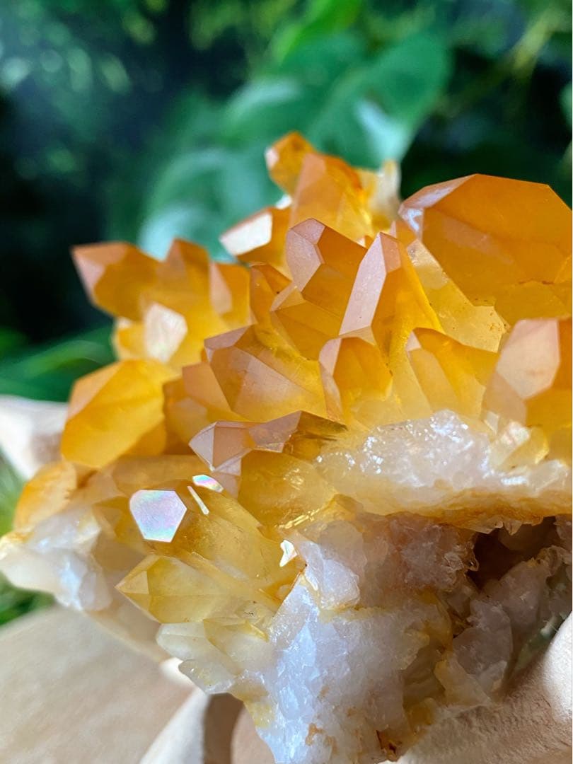 ソラリスクォーツ　クラスター　ゴールデンヒーラー　天然石　水晶