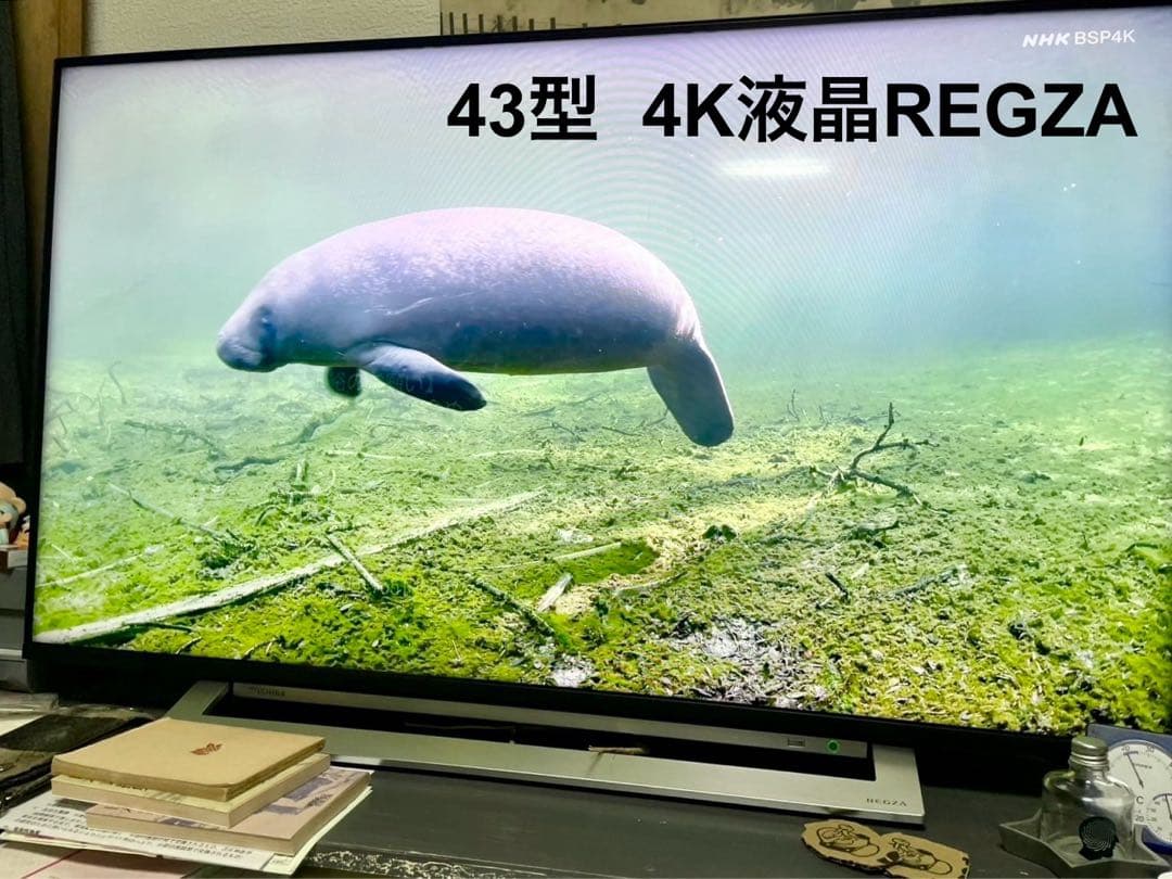TOSHIBA 43M540X 4K液晶テレビ 東芝 高画質 REGZA 43型