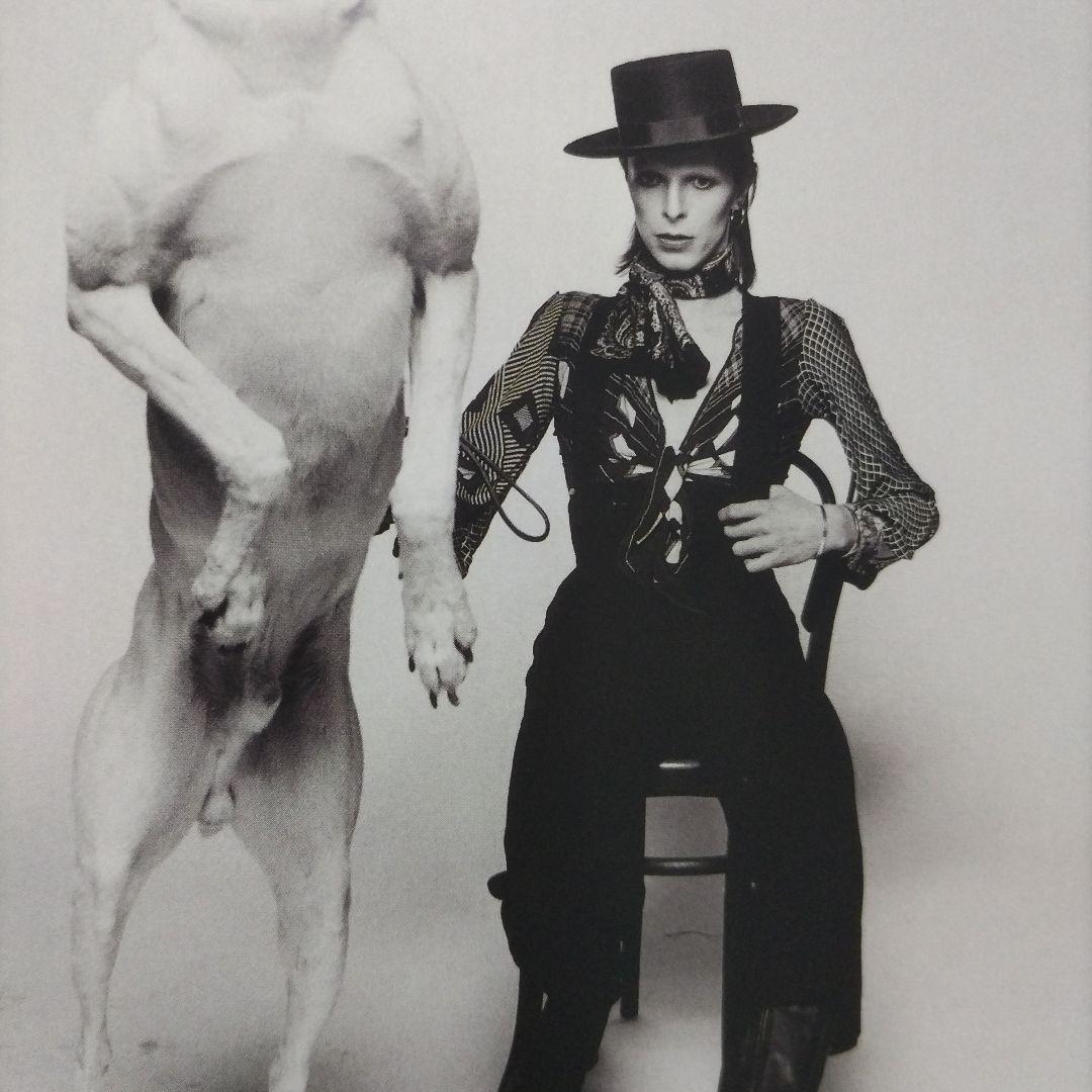 洋書 CELEBRITY: The photographs of T.O'NEILL