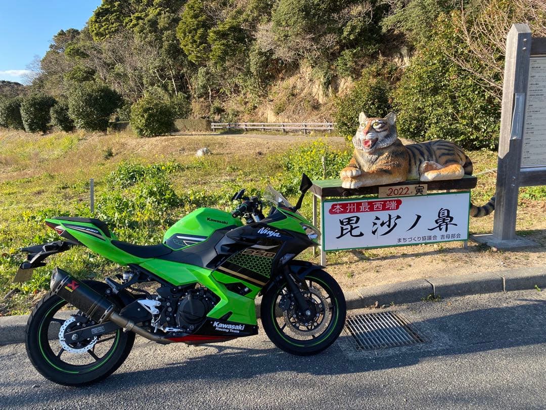 AKRAPOVIC カーボンファイバー マフラー