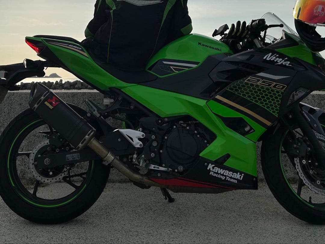 AKRAPOVIC カーボンファイバー マフラー