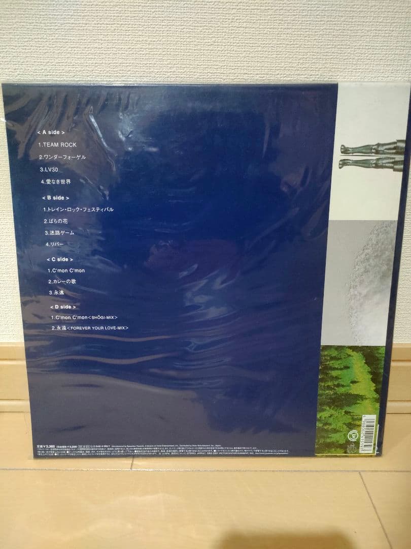 t*a様 くるり　TEAM ROCK レコード