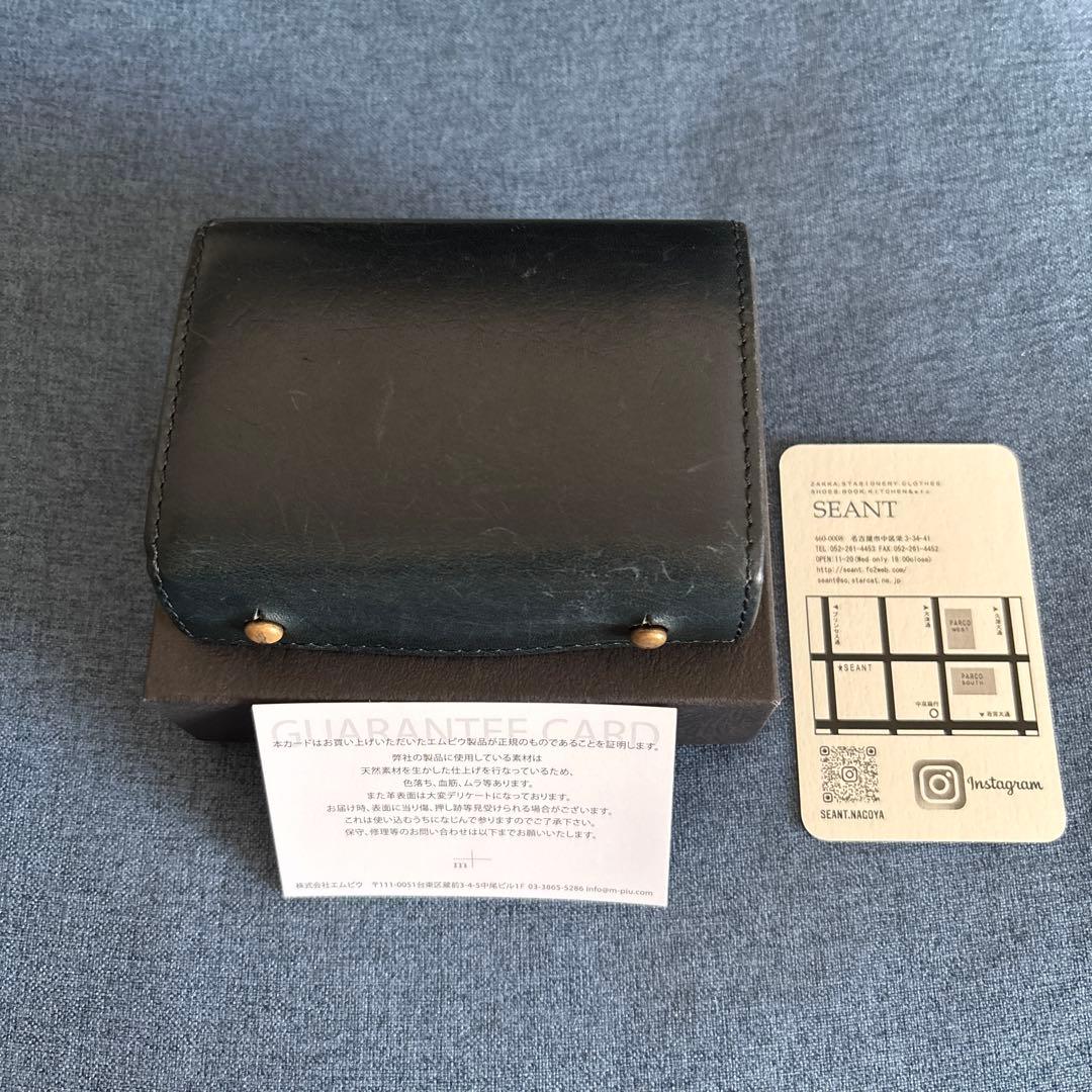 m+ エムピウ millefoglieⅡ P25 BUSCHETO オセアノ