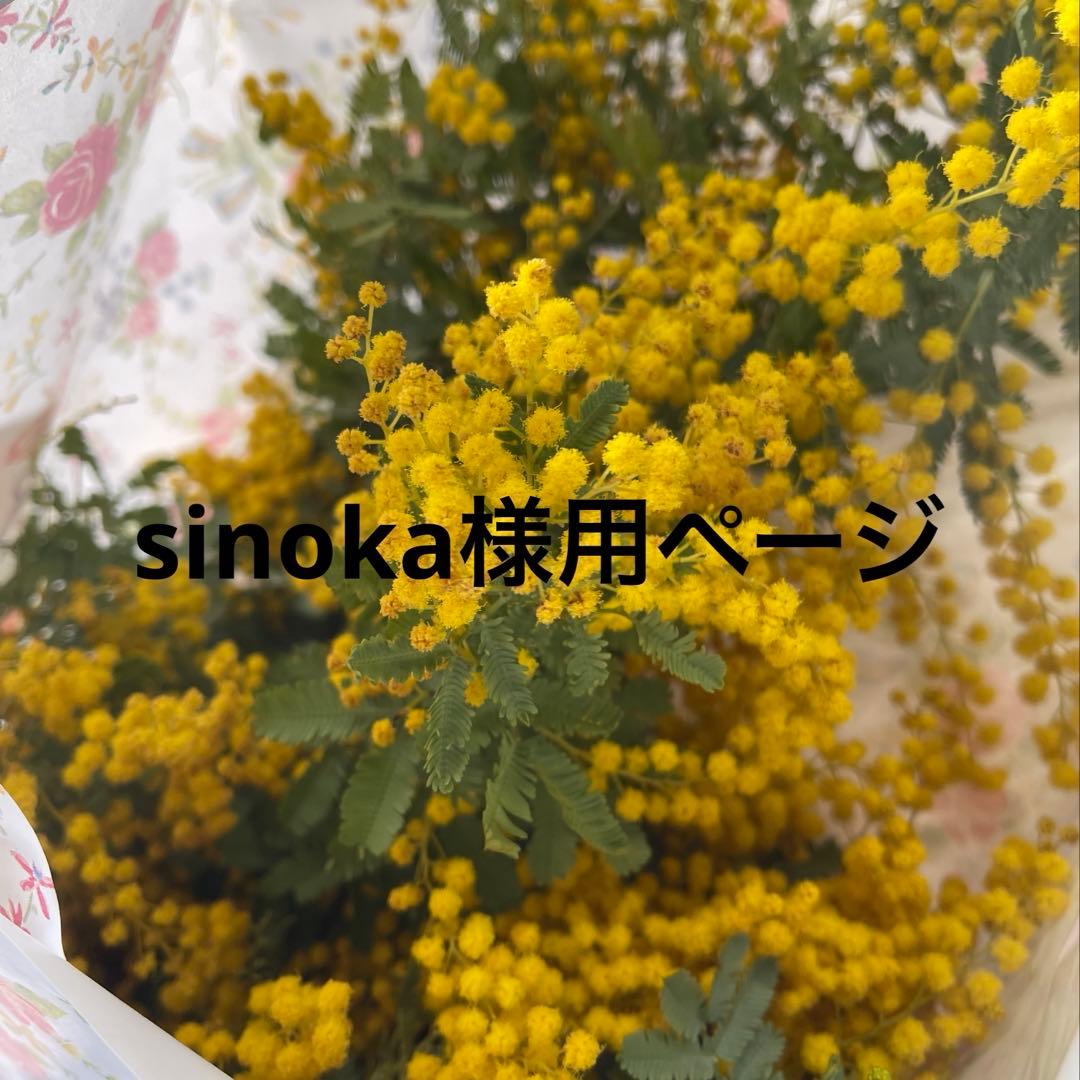 sinoka様用ページ