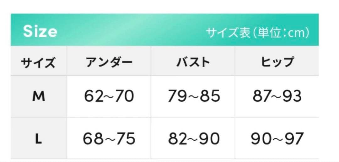 Pharfaite パルフェット セパレート 競泳水着