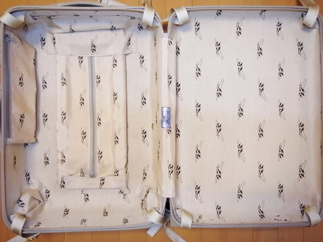 ◇絶盤希少 リモワ ユナイテッドアローズ限定 機内持込可◇メンテ・クリーニング済