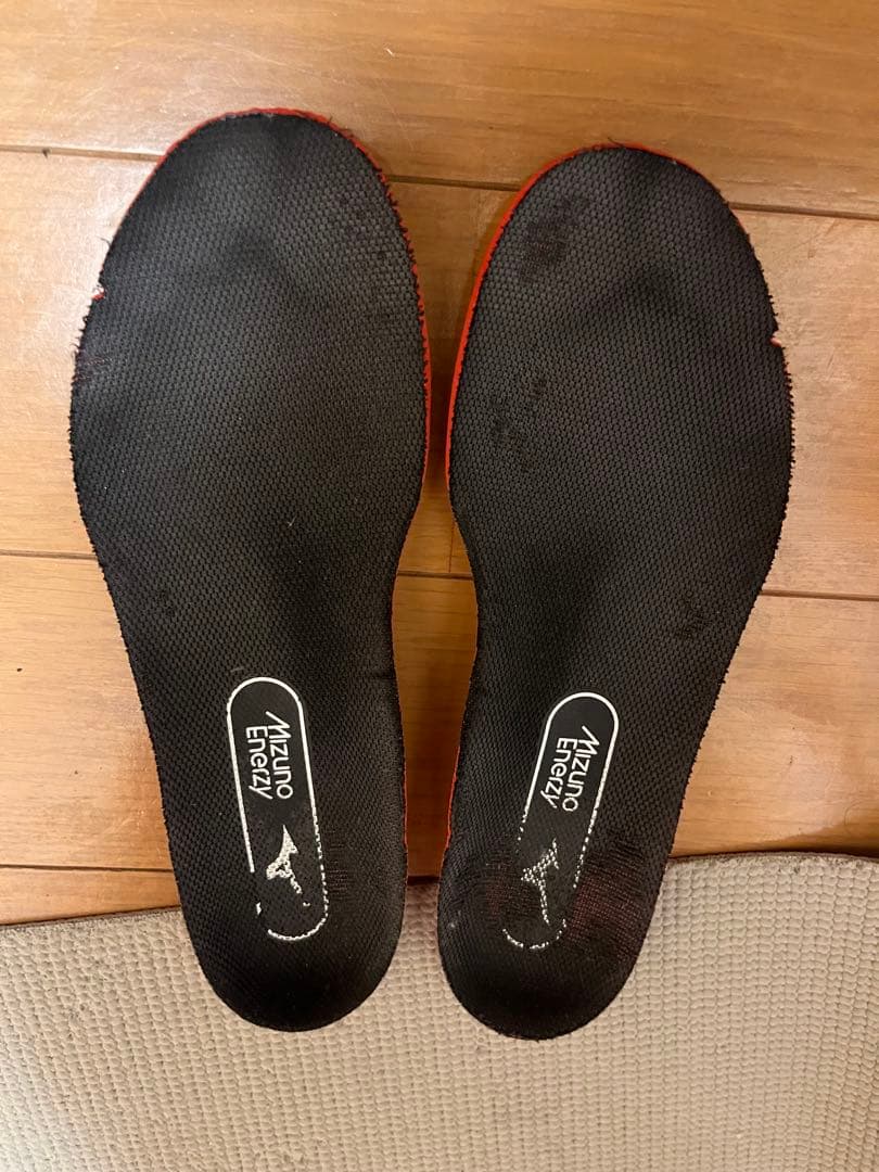 ミズノ BDSS 限定 ブラック バドミントン シューズ ウエーブクロー プロ