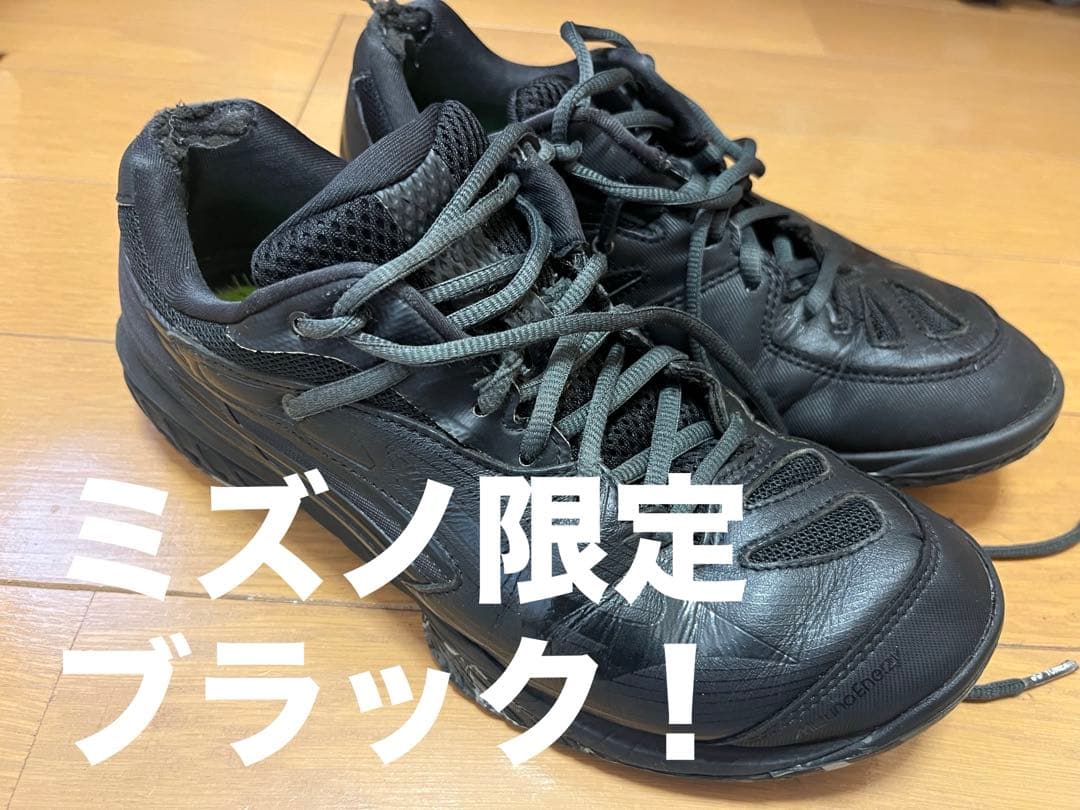 ミズノ BDSS 限定 ブラック バドミントン シューズ ウエーブクロー プロ