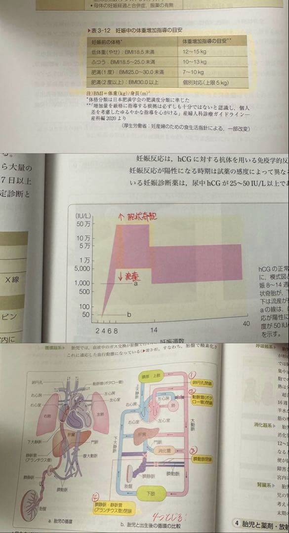系統看護学講座 12巻セット 【基礎 小児 老年 母性 精神 研究 外科】