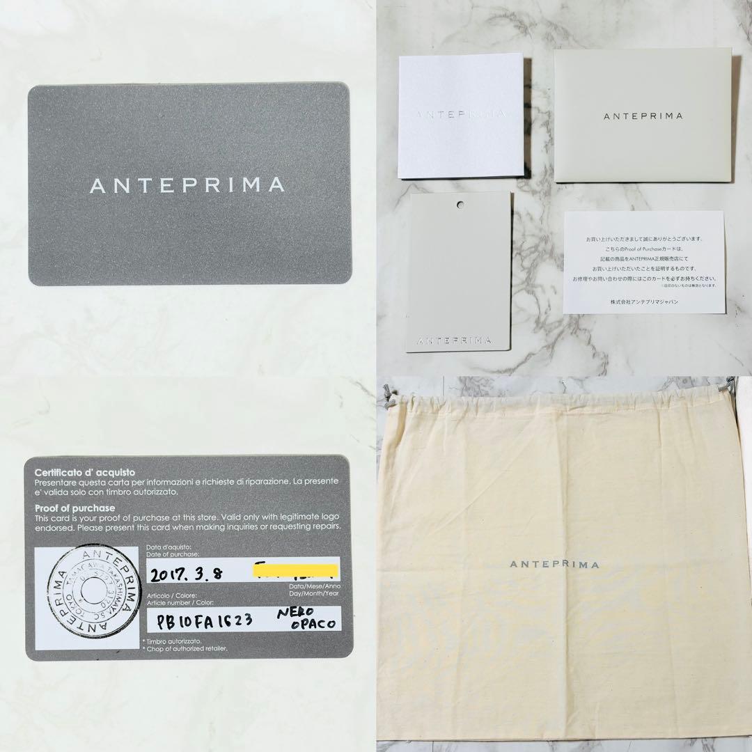 極美品✨ANTEPRIMA アンテプリマ ワイヤーバッグ ルッケット 付属品あり