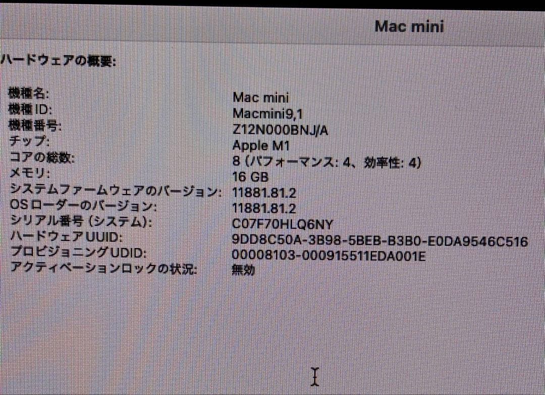 Macデスクトップ Apple Mac mini M1 16GB 256GB SSD