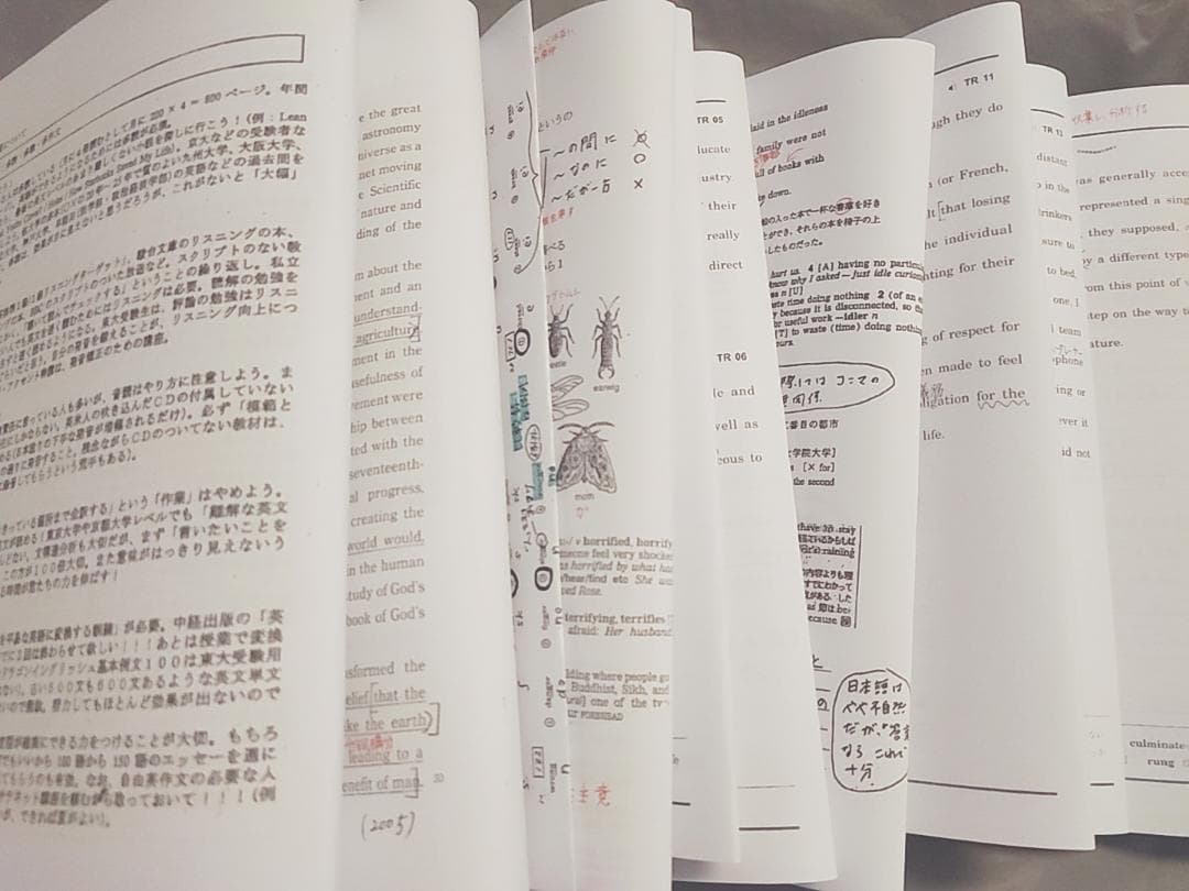 駿台　英語構文S　プリントフルセット　竹岡広信先生　鉄緑会　河合塾　東進　SEG