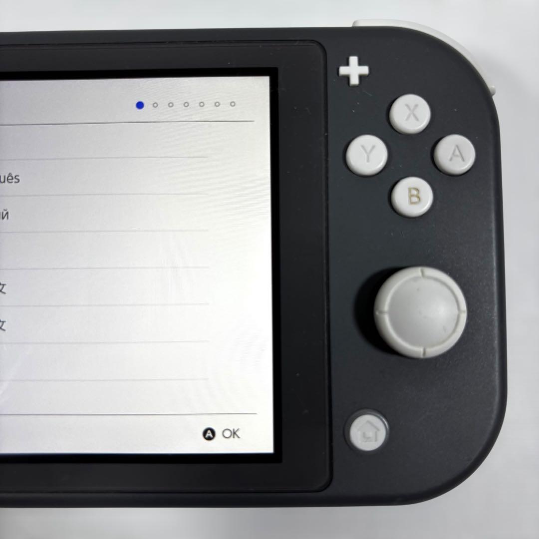 NINTENDO ニンテンドー ゲーム Switch lite HDH-001