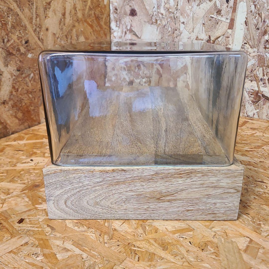 HERE ヒアー ガラスドーム WB レクタングル2 WB-RECT.2