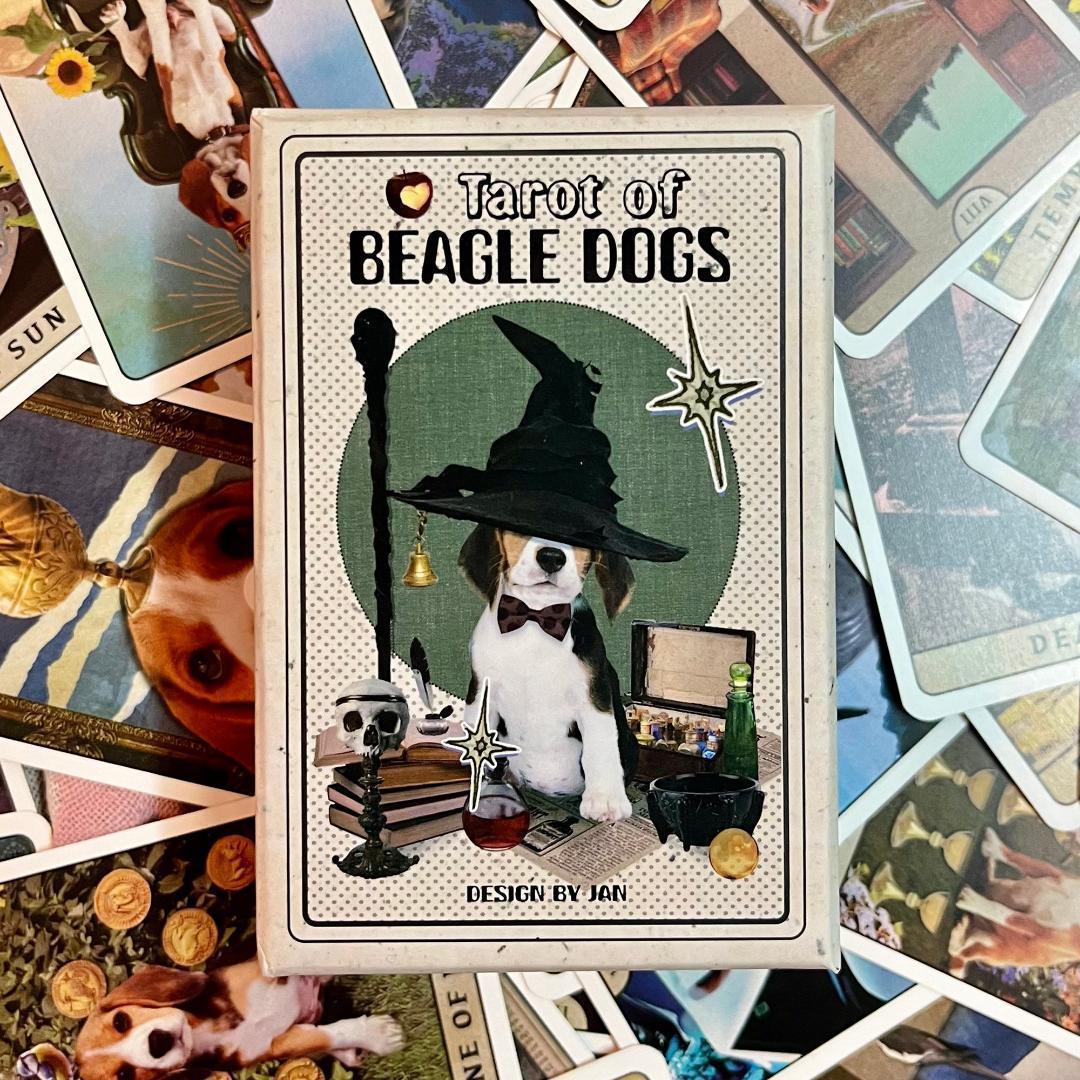 【正規品タロットカード】ビーグル犬好きさん必見✨超キュートなビーグル犬のデッキ