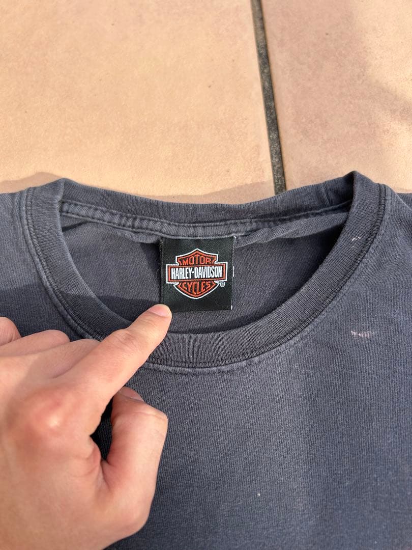 Harley Davidson ロンT 袖フレイム ファイヤーパターン フェード