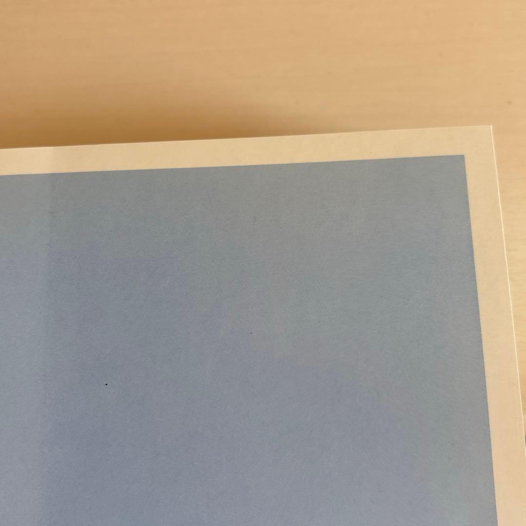 エリザベス　ペイトン　写真画集　prince eagle