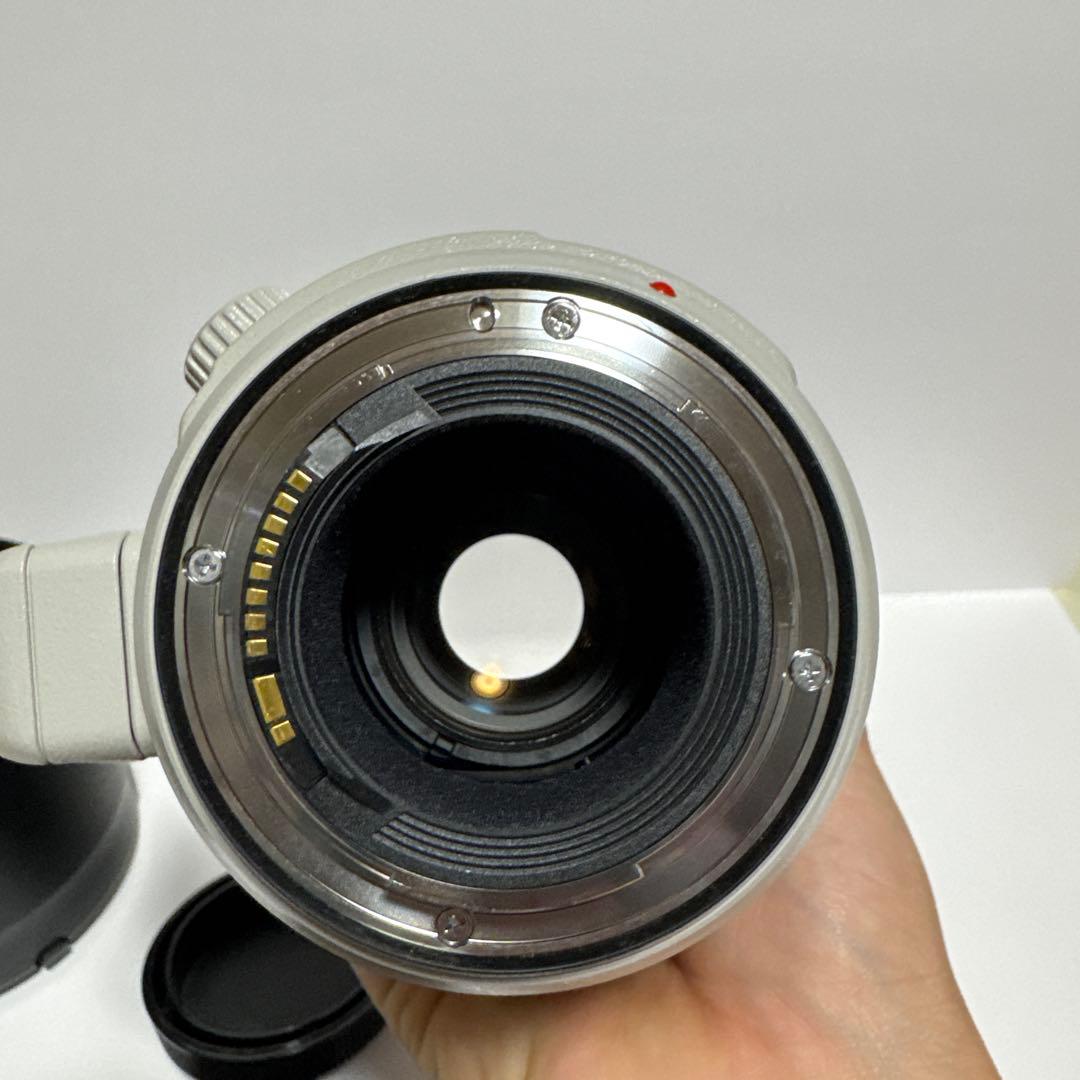 レンズ(ズーム) Canon EF 100-400mm f/4.5-5.6L IS II USM