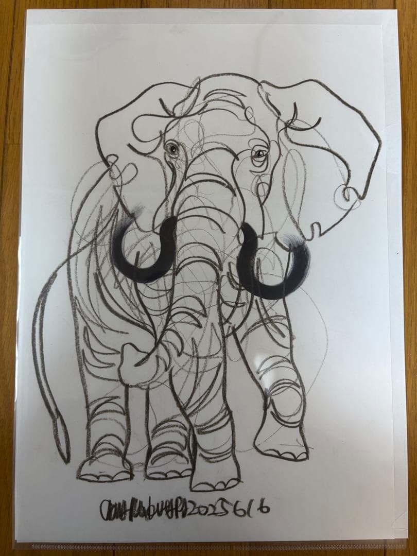 木原千春 ドローイング 6枚セット