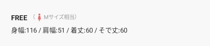 【未使用品】TODAYFUL Border Long T-shirts ブラウン