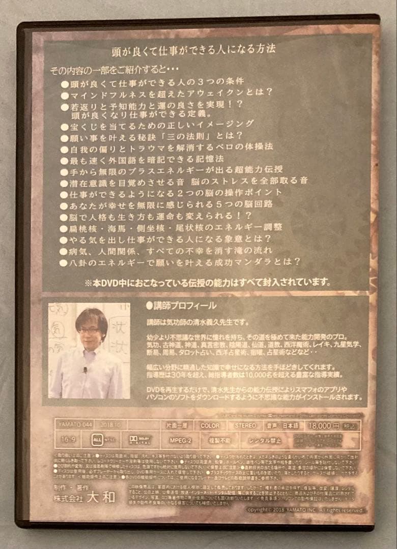 【講義録PDF付／即実践向け】清水義久 仕事が速くなる能力開発セミナー DVD