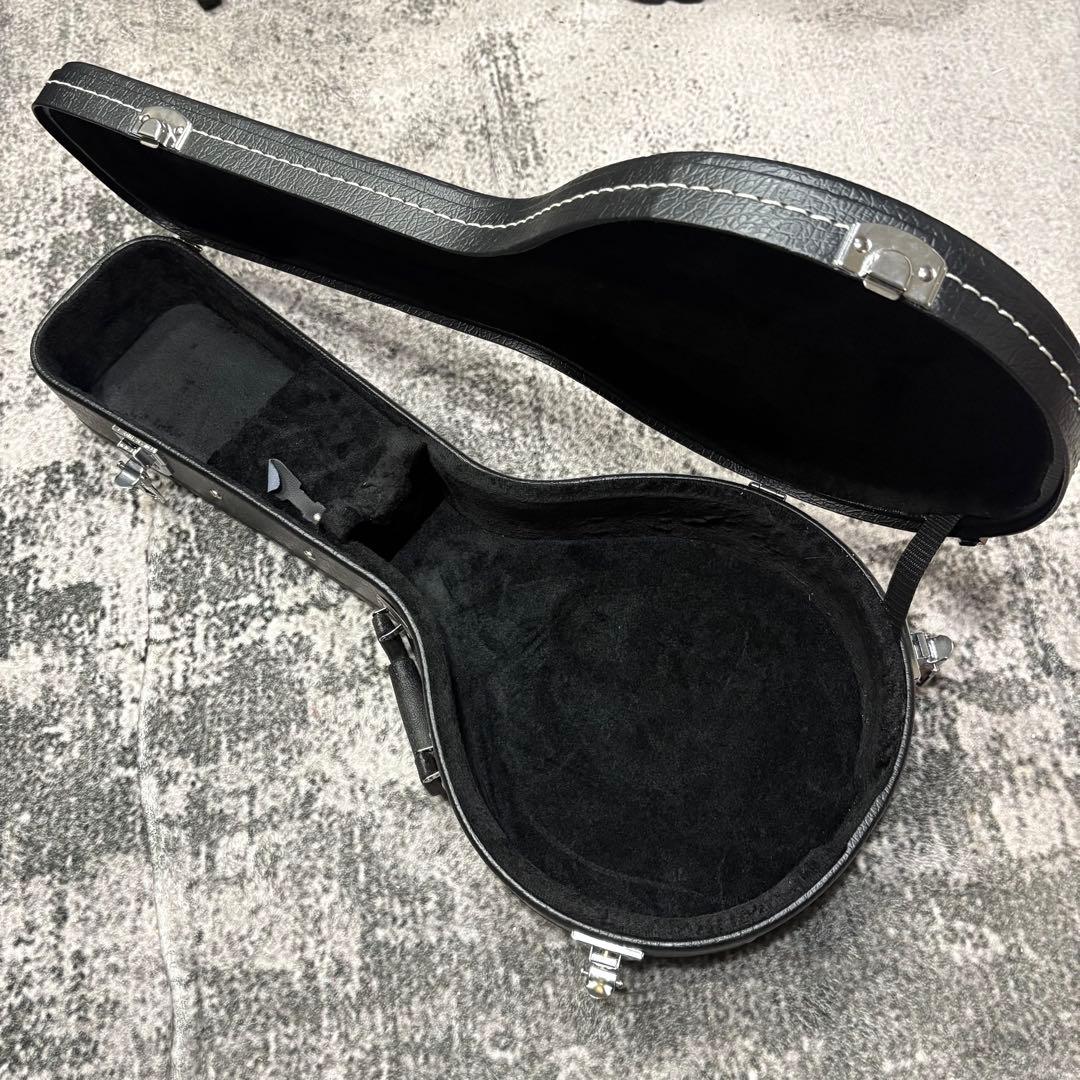 エレキマンドリン Aria AM-20E ピックアップ搭載 ケース2個付き