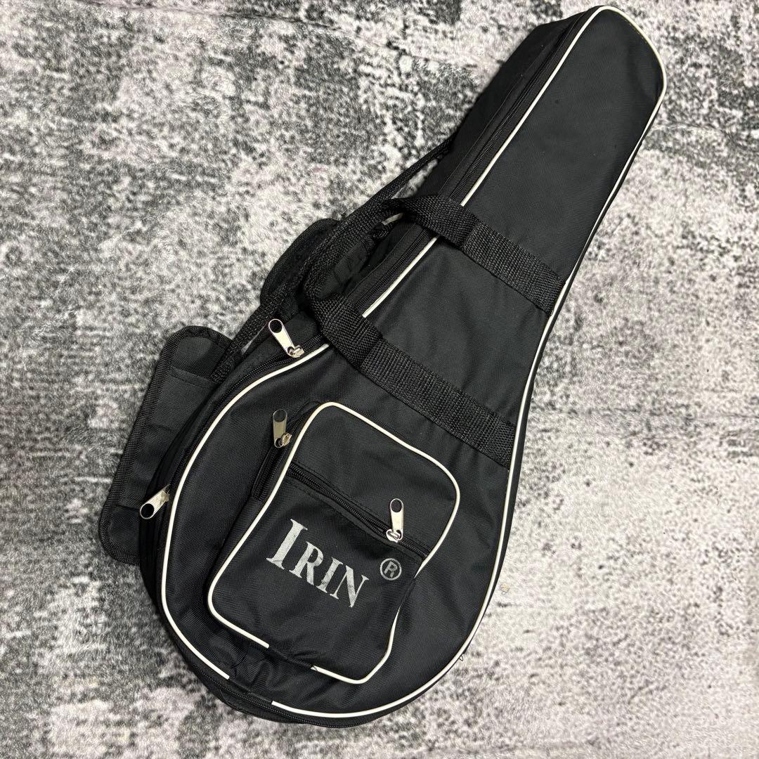 エレキマンドリン Aria AM-20E ピックアップ搭載 ケース2個付き