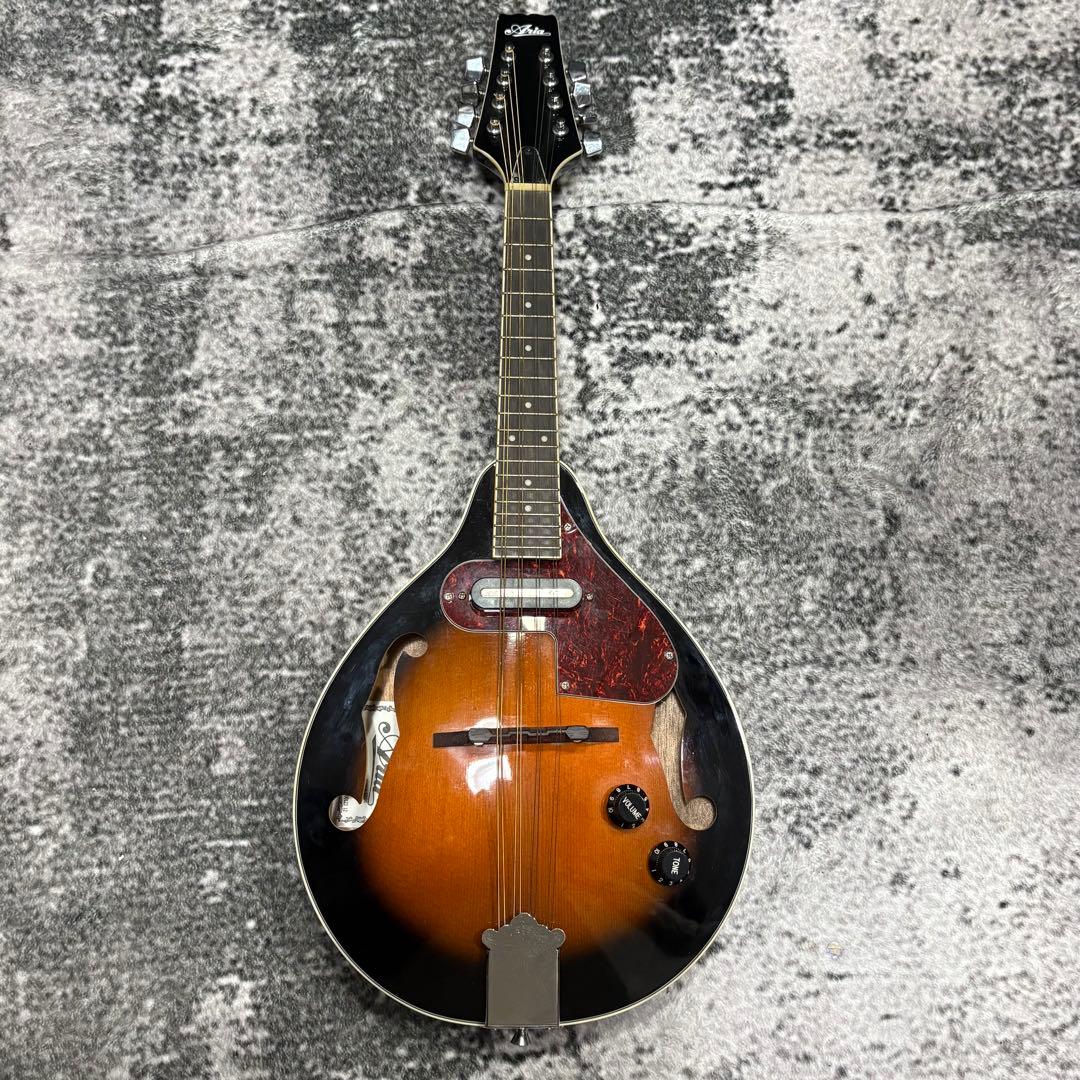 エレキマンドリン Aria AM-20E ピックアップ搭載 ケース2個付き