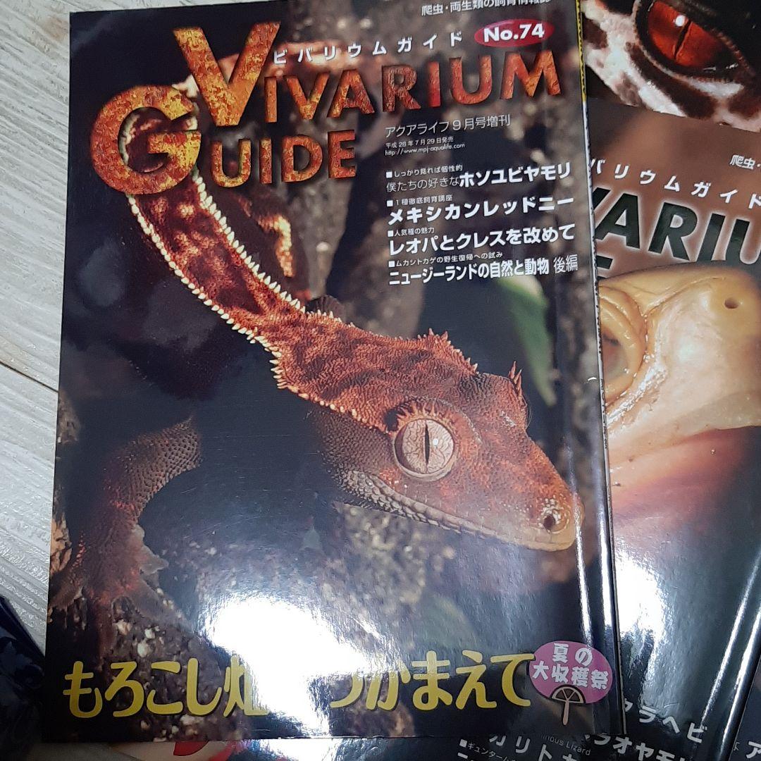 ビバリュームガイド