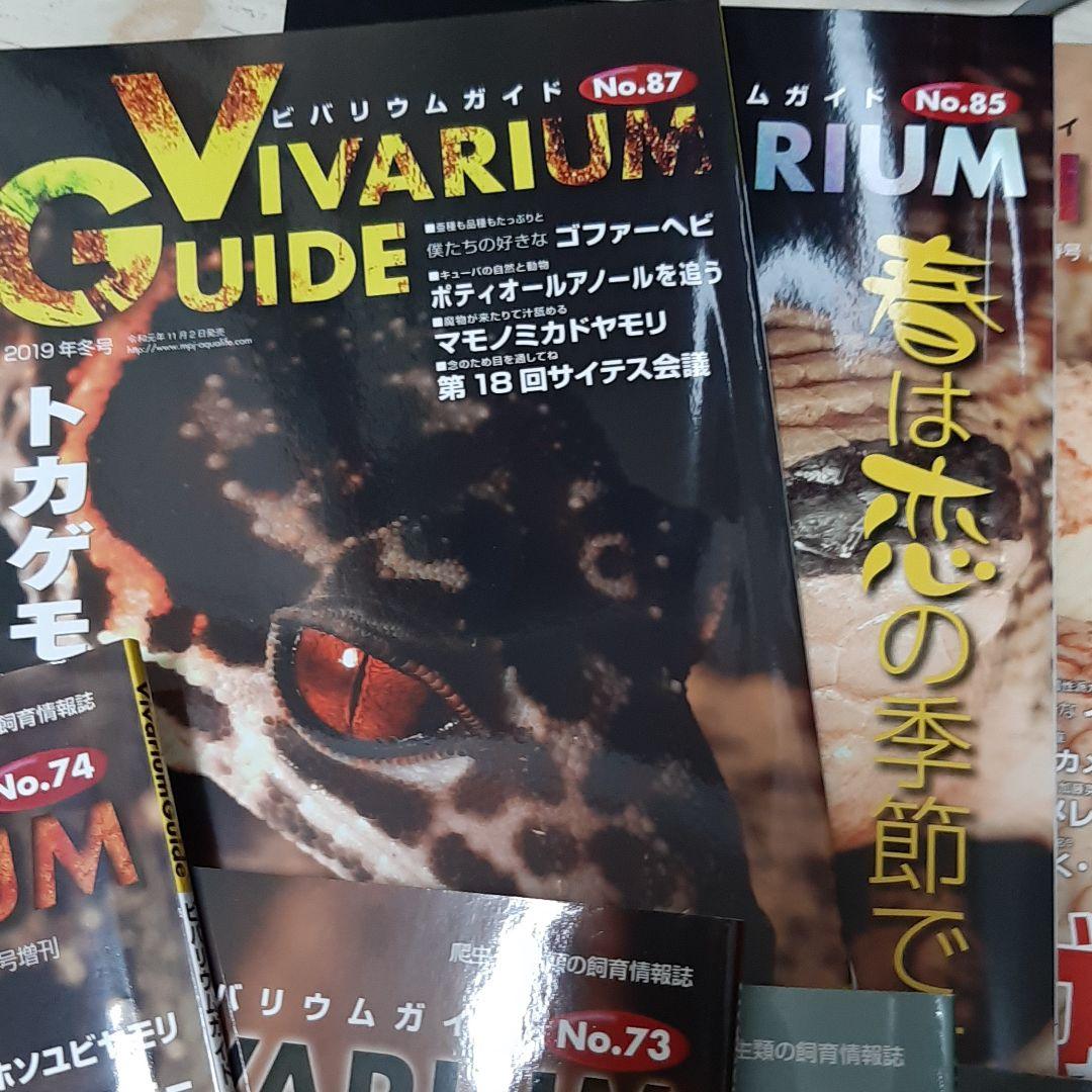 ビバリュームガイド