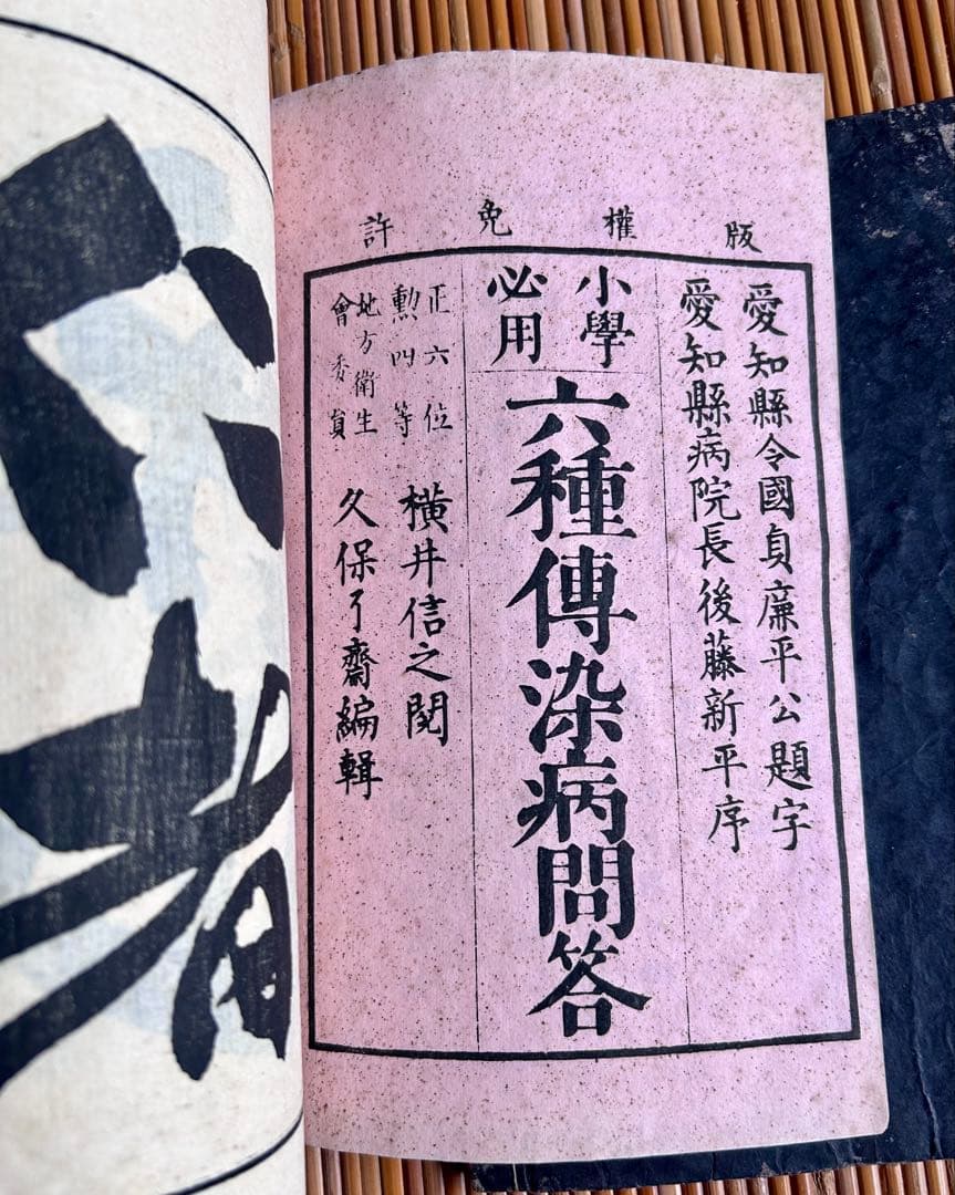 小学必要 久保良斎 編 六種伝染病問答 全2冊セット 明治14年刻生