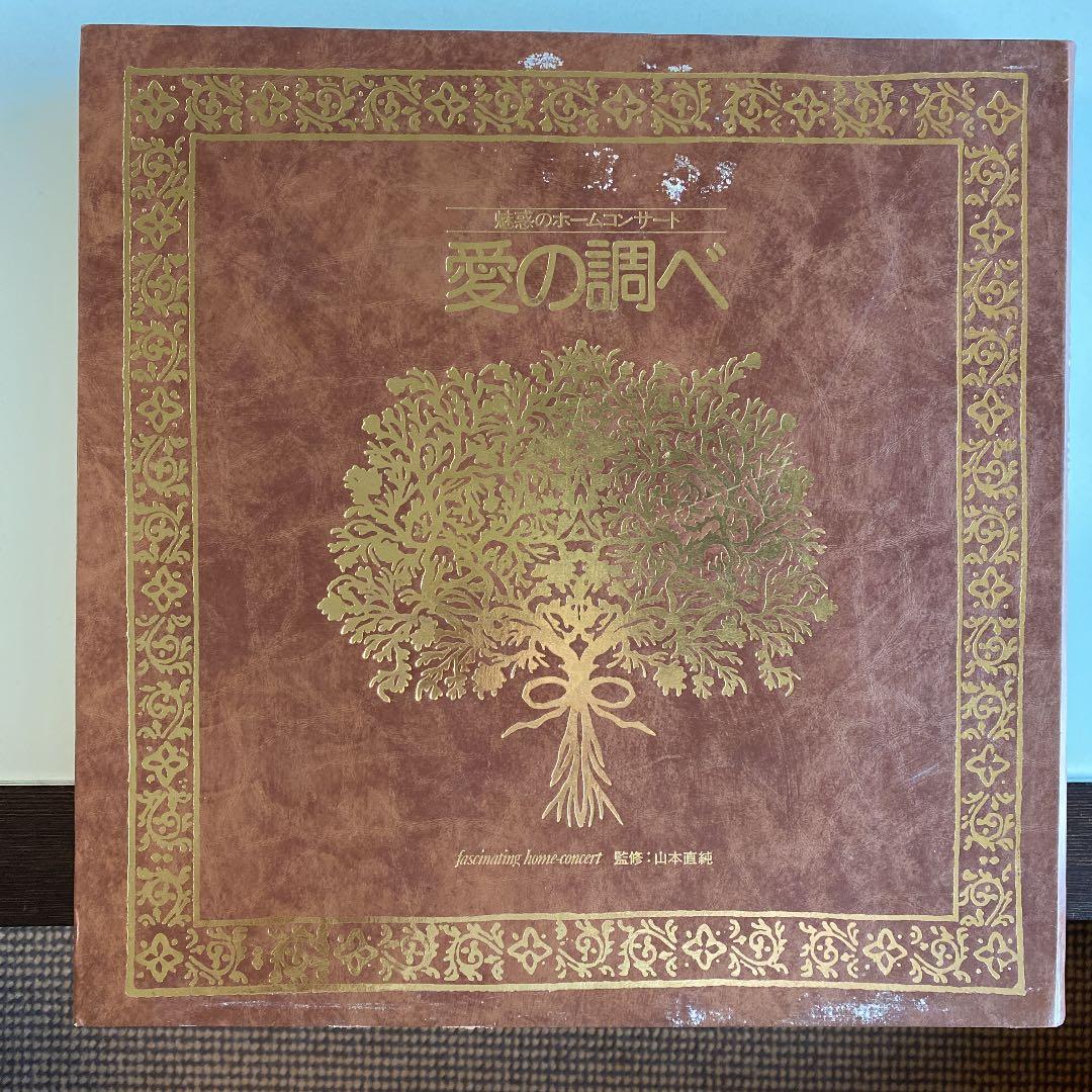 ☆ レア・希少 ☆ LP レコード 10枚組　魅惑のホームコンサート 愛の調べ