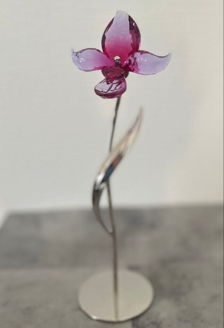 【希少•美品】SWAROVSKI Doroa Fuchsia Rain 廃盤品
