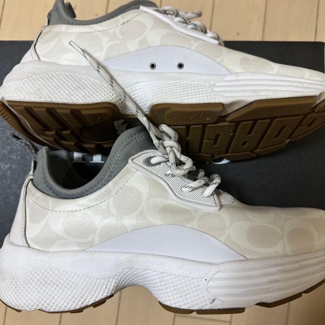 シグネチャー　スニーカー