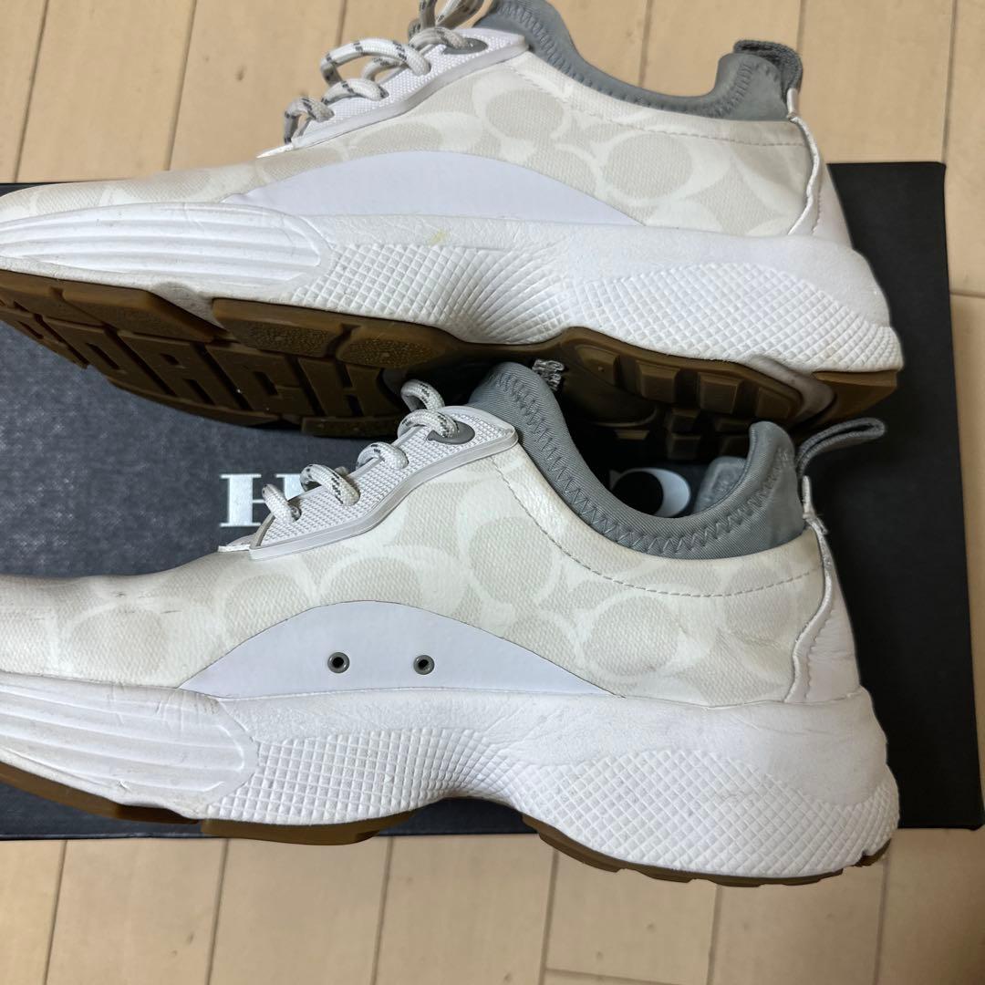 シグネチャー　スニーカー