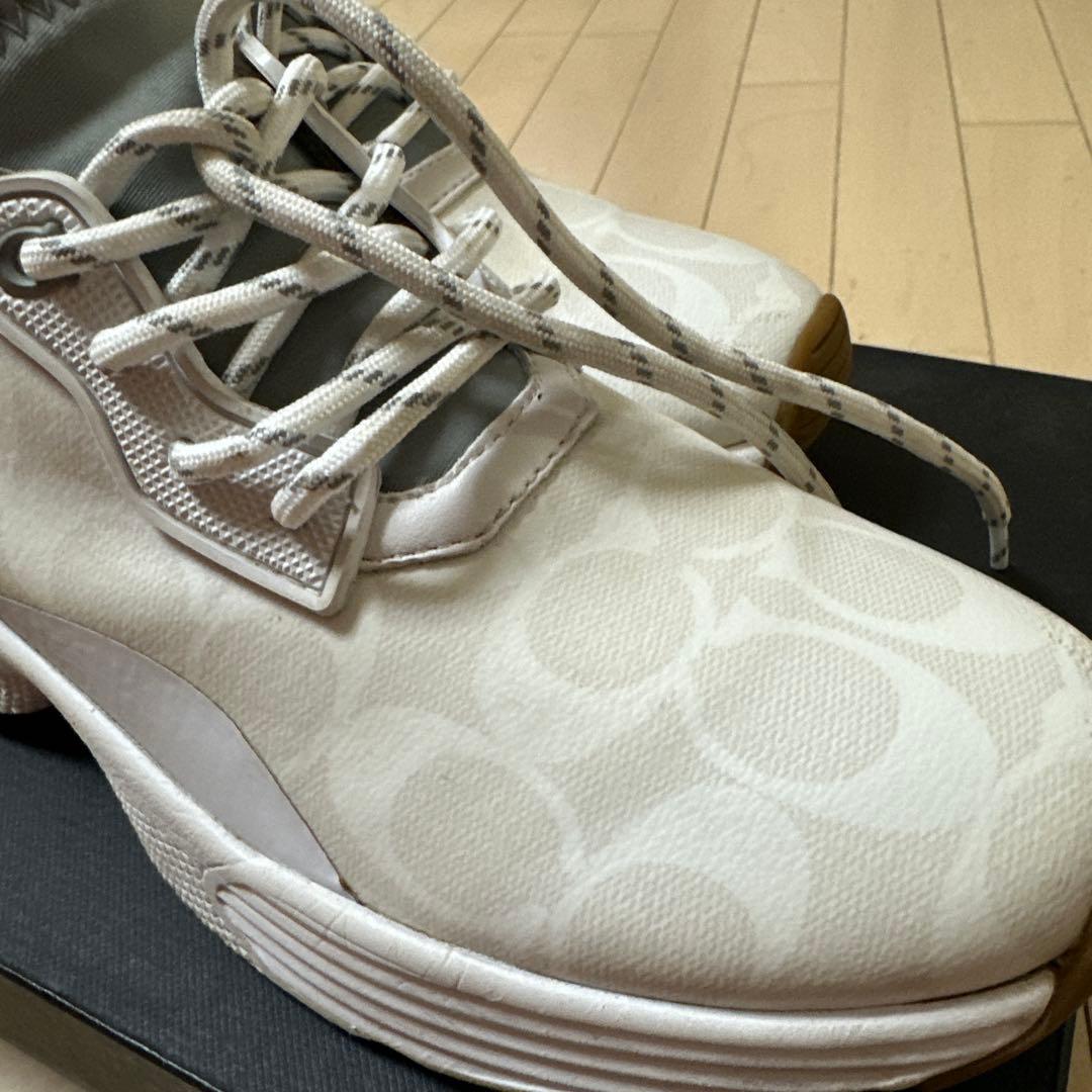 シグネチャー　スニーカー